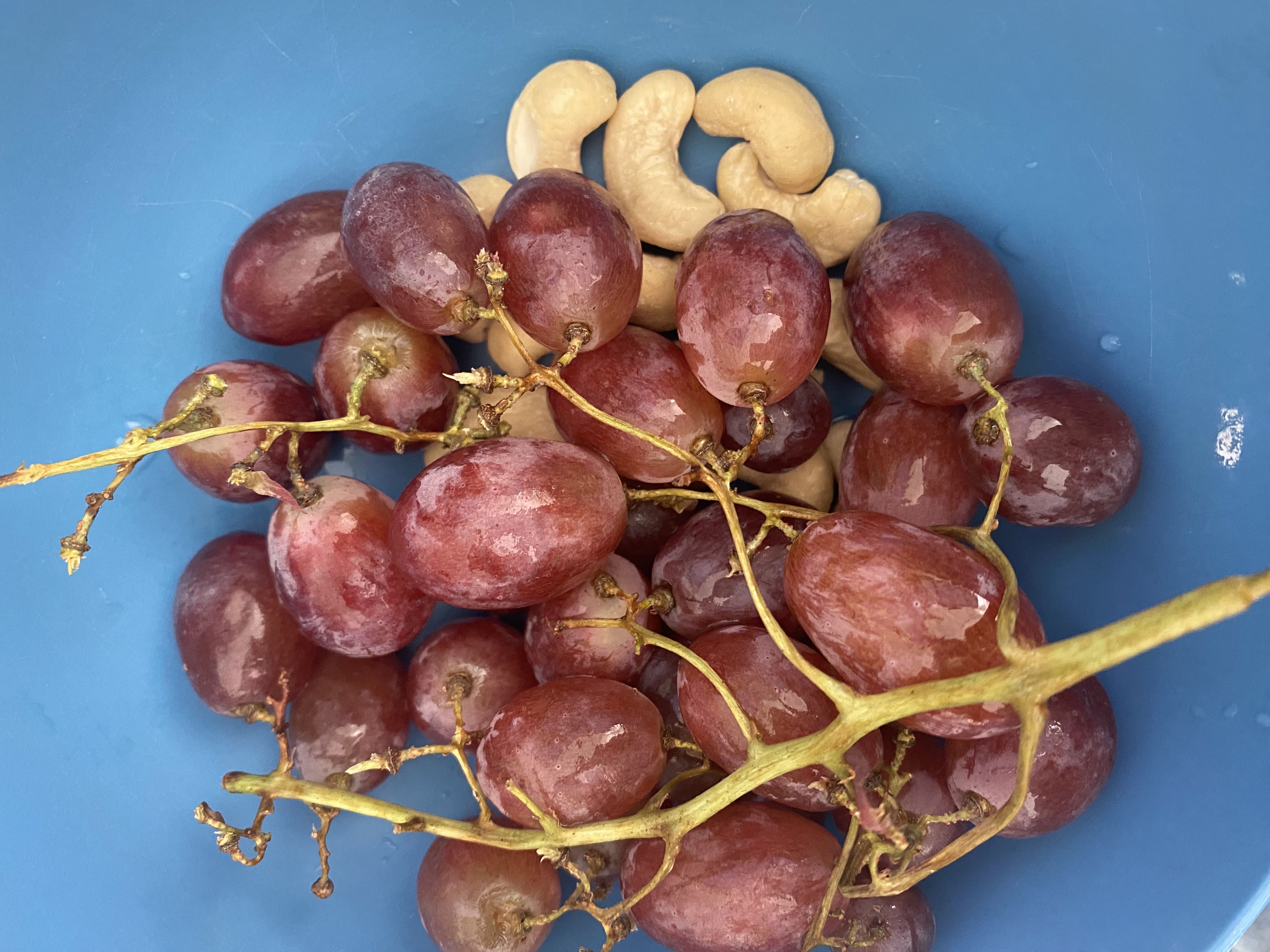 Healthy Protein Snacks Recipe