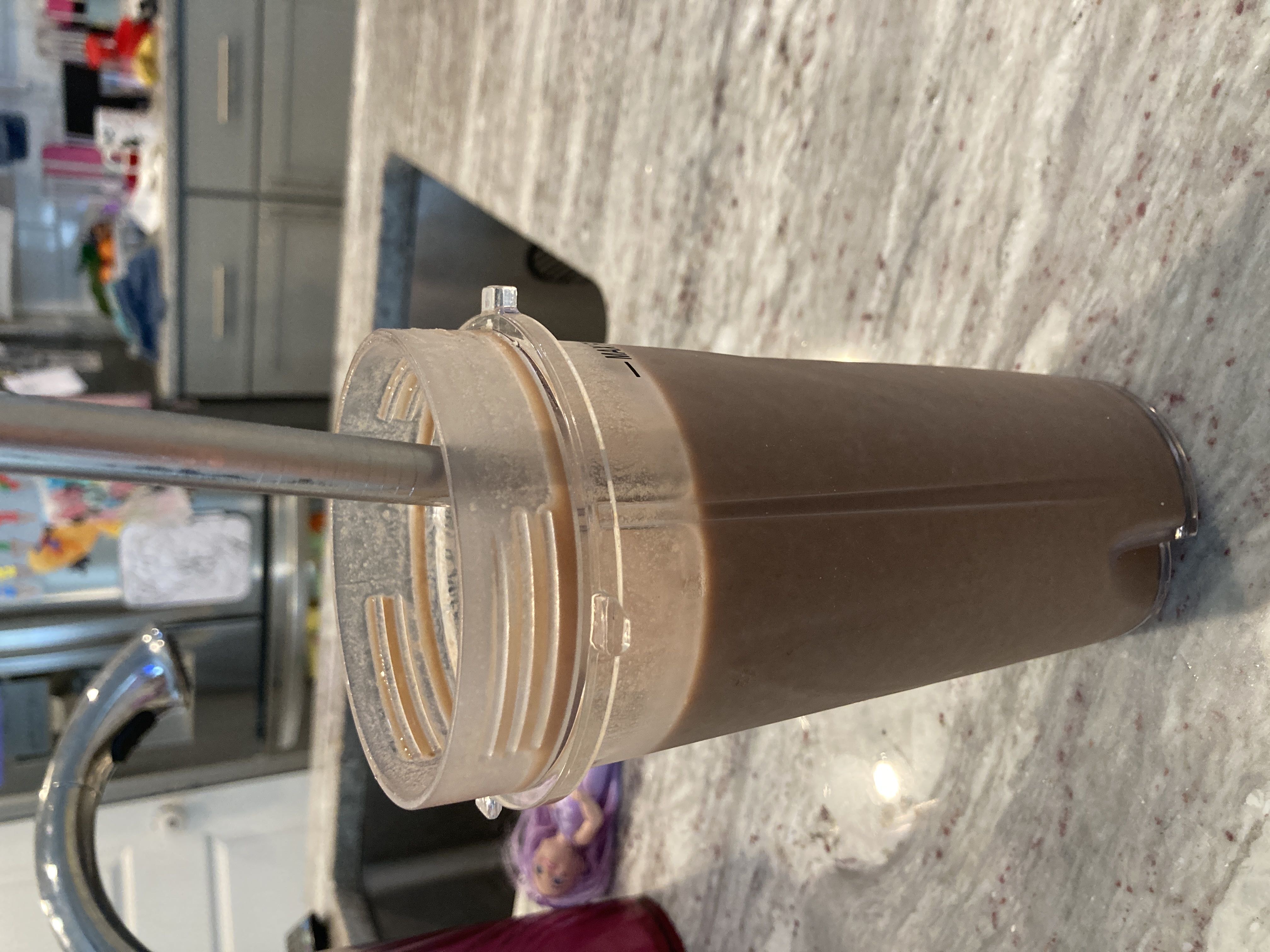 Healthy High Protein Smoothie Recipe