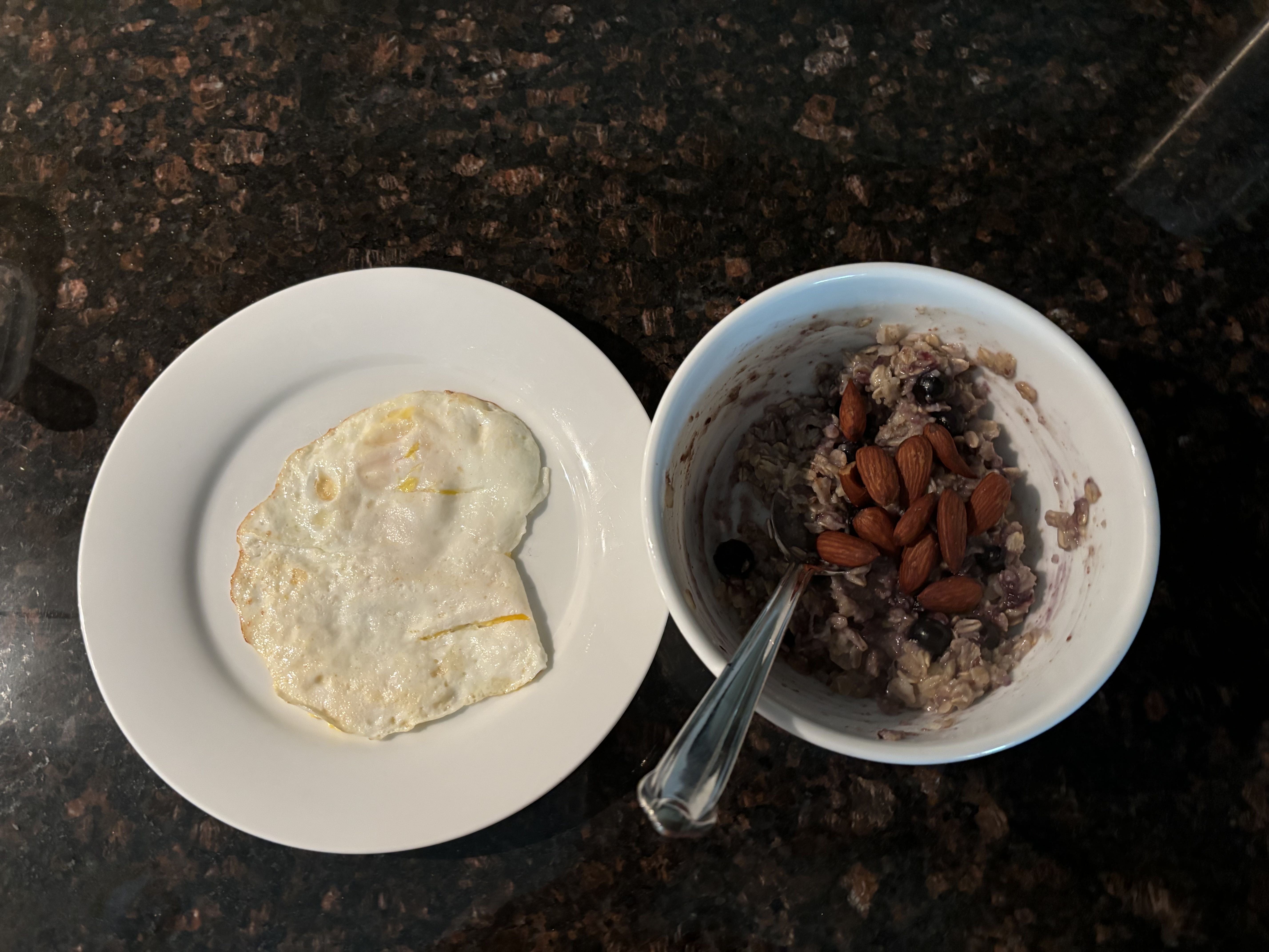 Healthy High Protein Oats Recipe