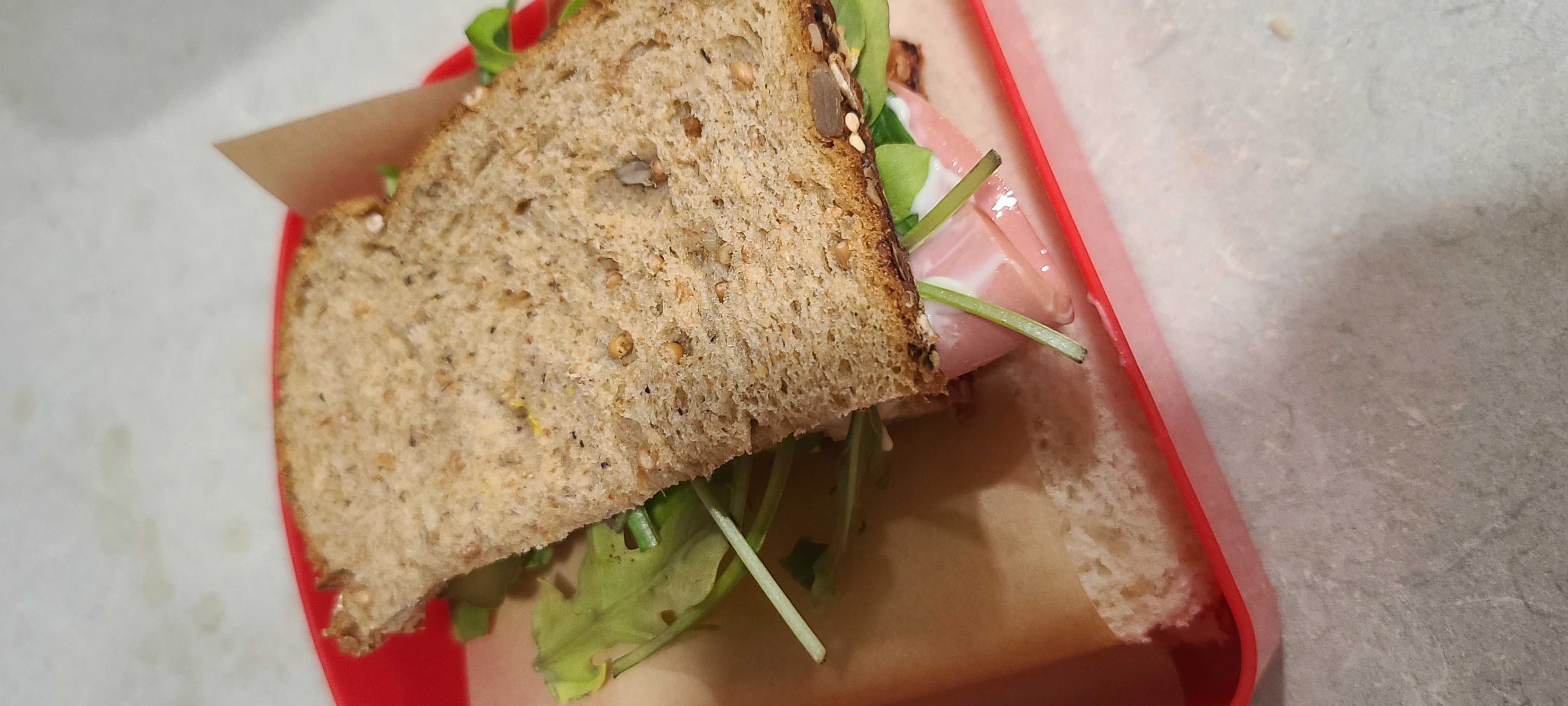 Healthy Bologna Sandwich Recipe