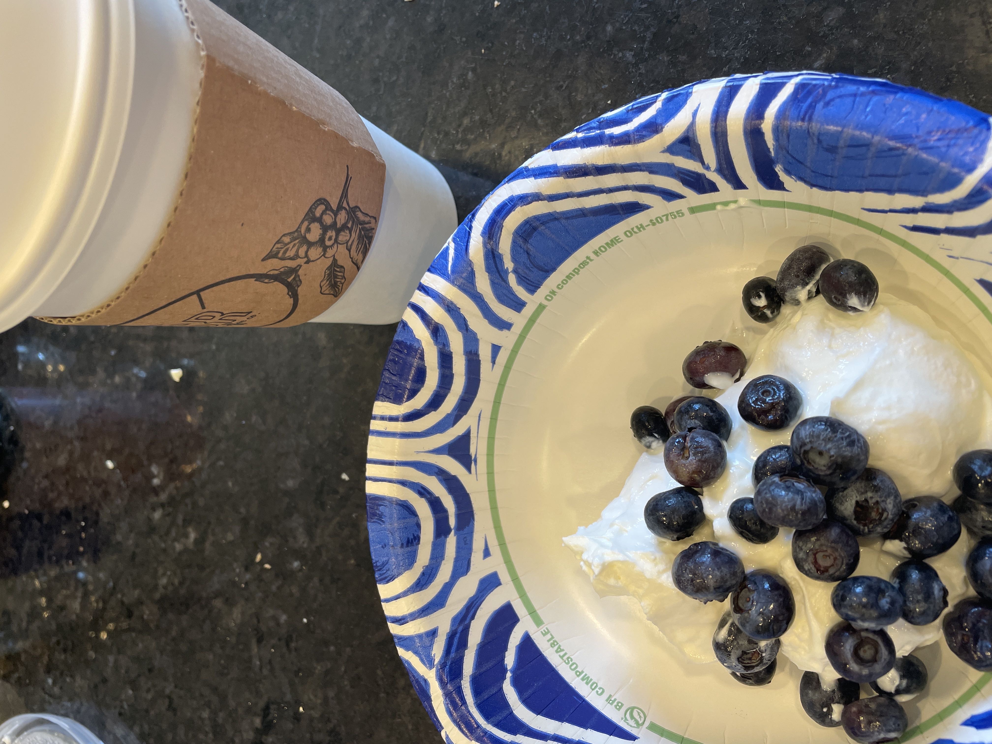 Healthy High Protein Yogurt Recipe