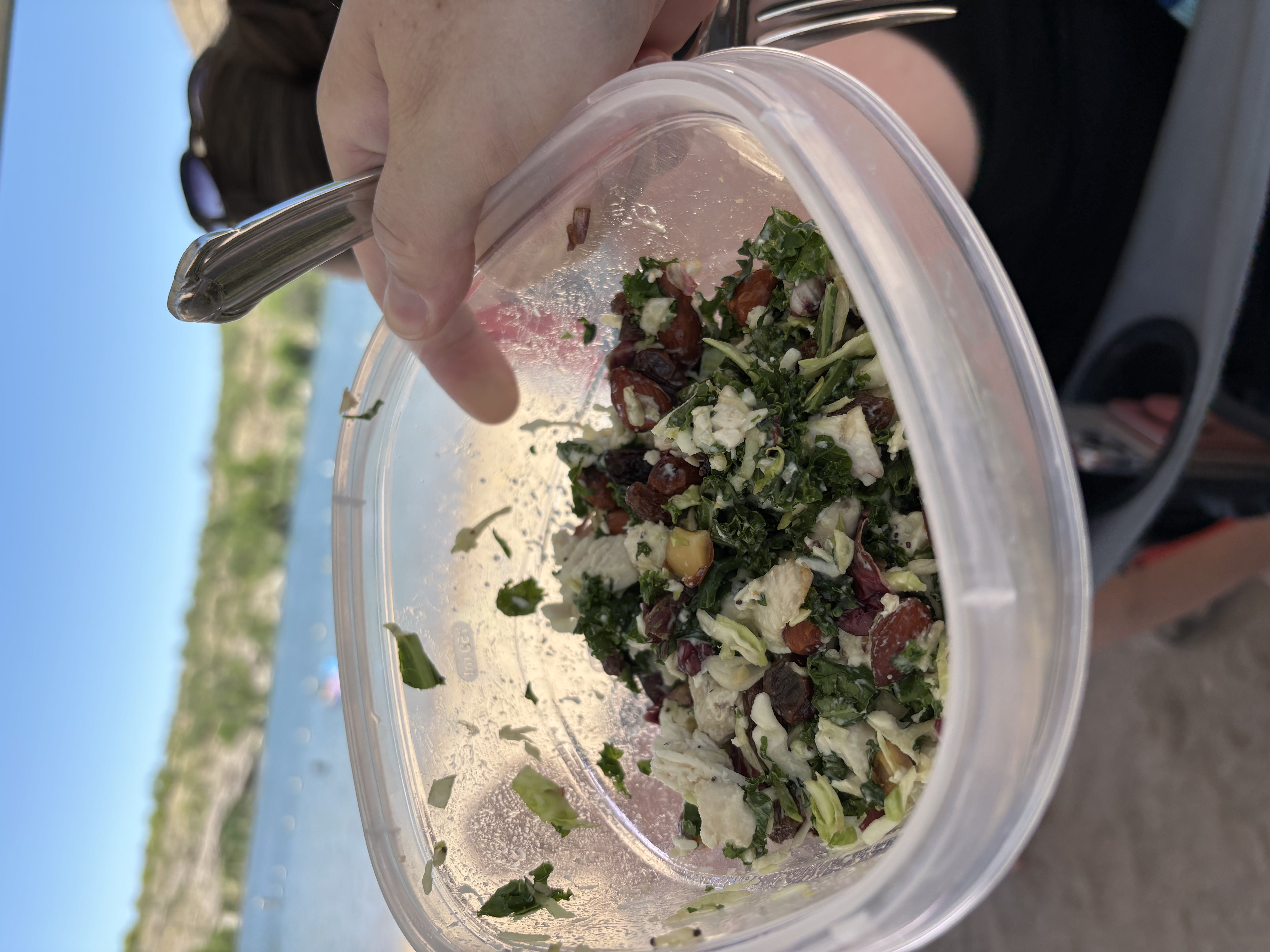 Healthy Chicken Salad Recipe