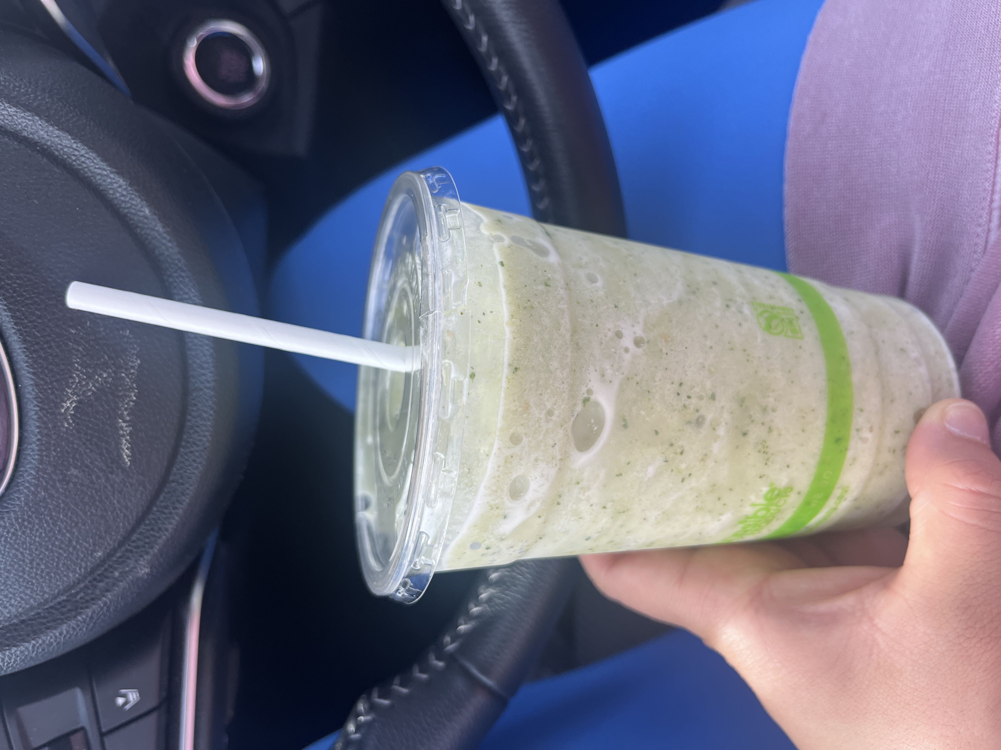 Healthy High Protein Smoothie Recipe