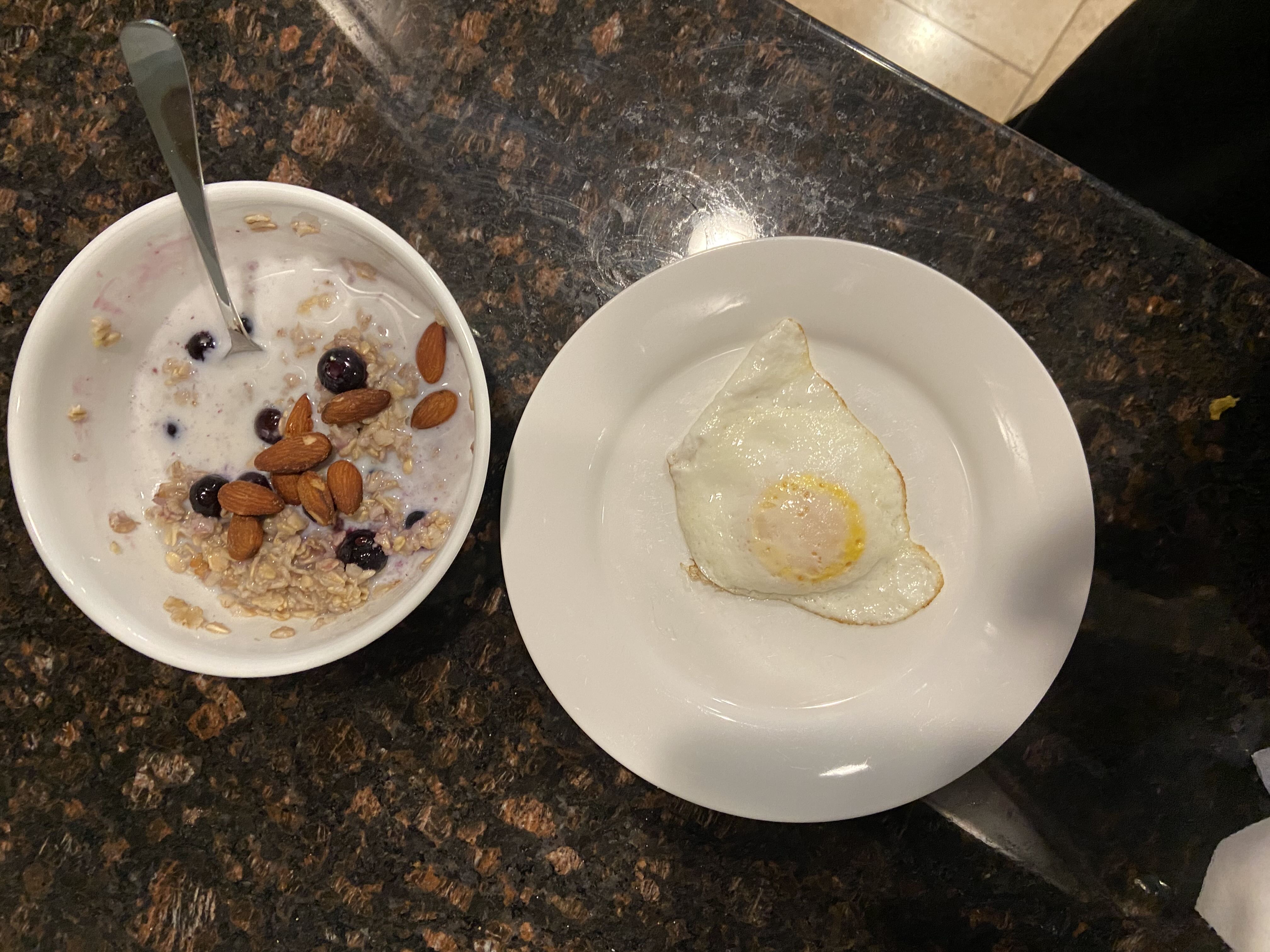 Healthy High Protein Oats Recipe