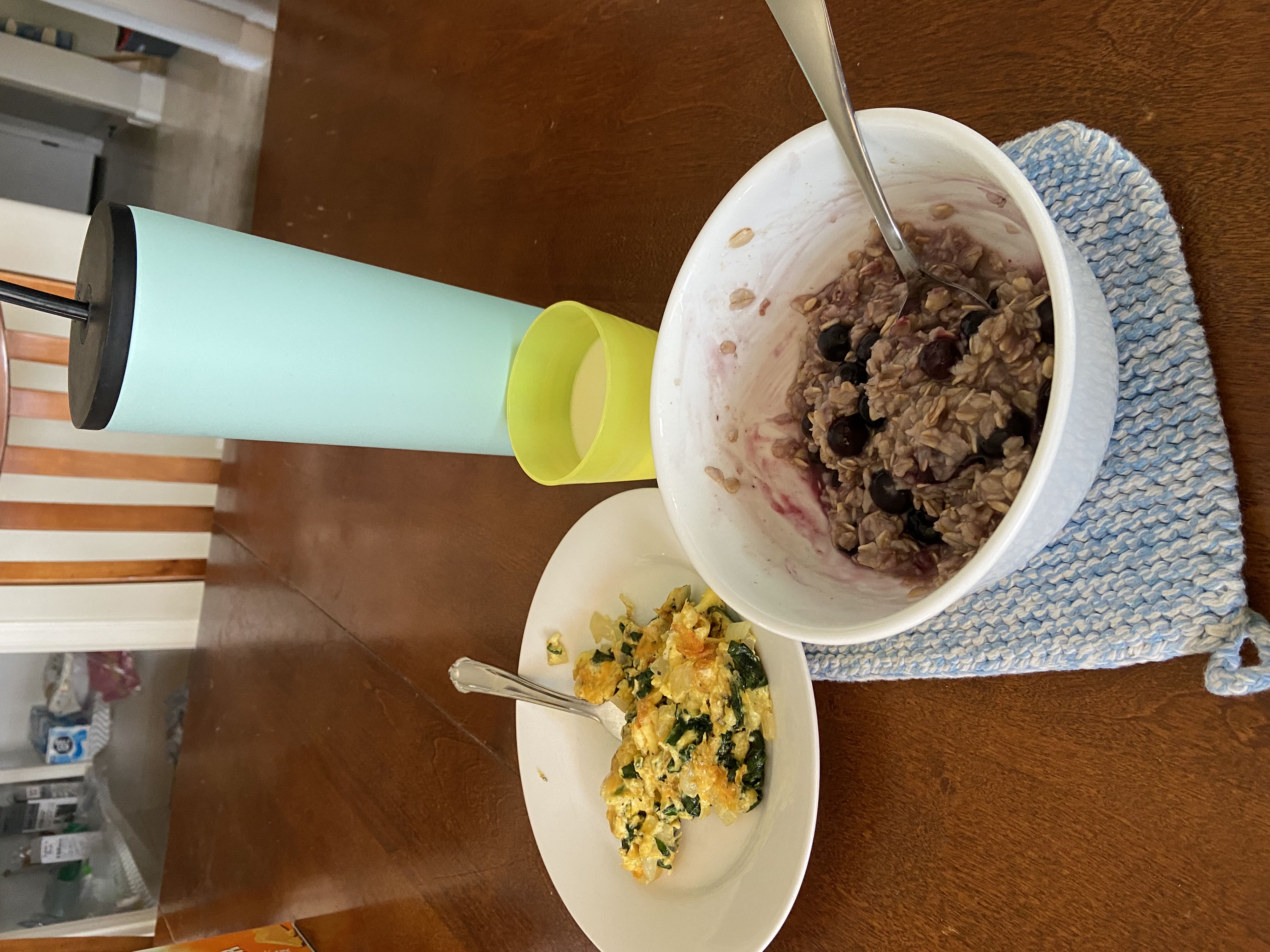 Healthy High Protein Oats Recipe