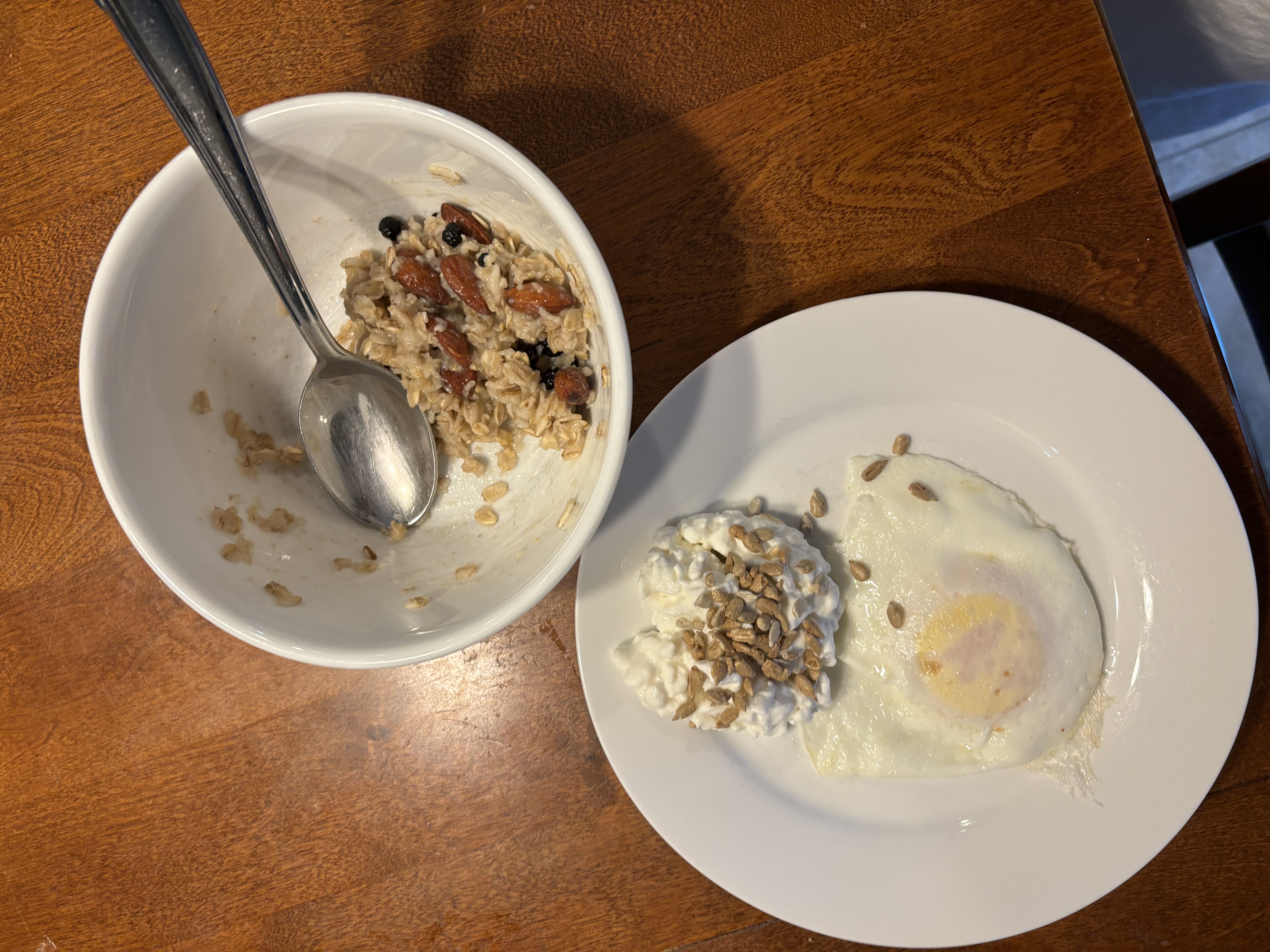 Healthy High Protein Oats Recipe