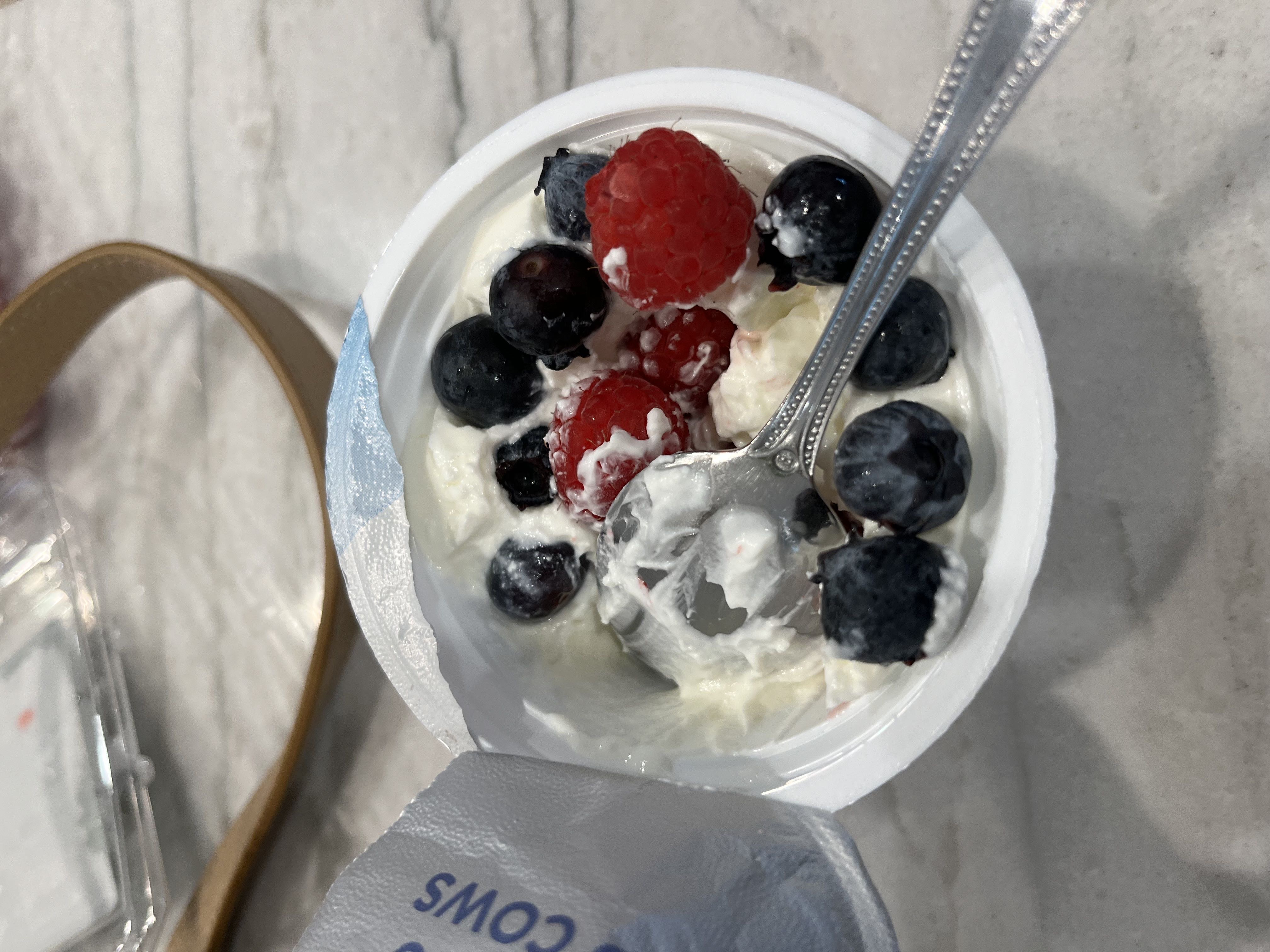 Healthy High Protein Yogurt Recipe