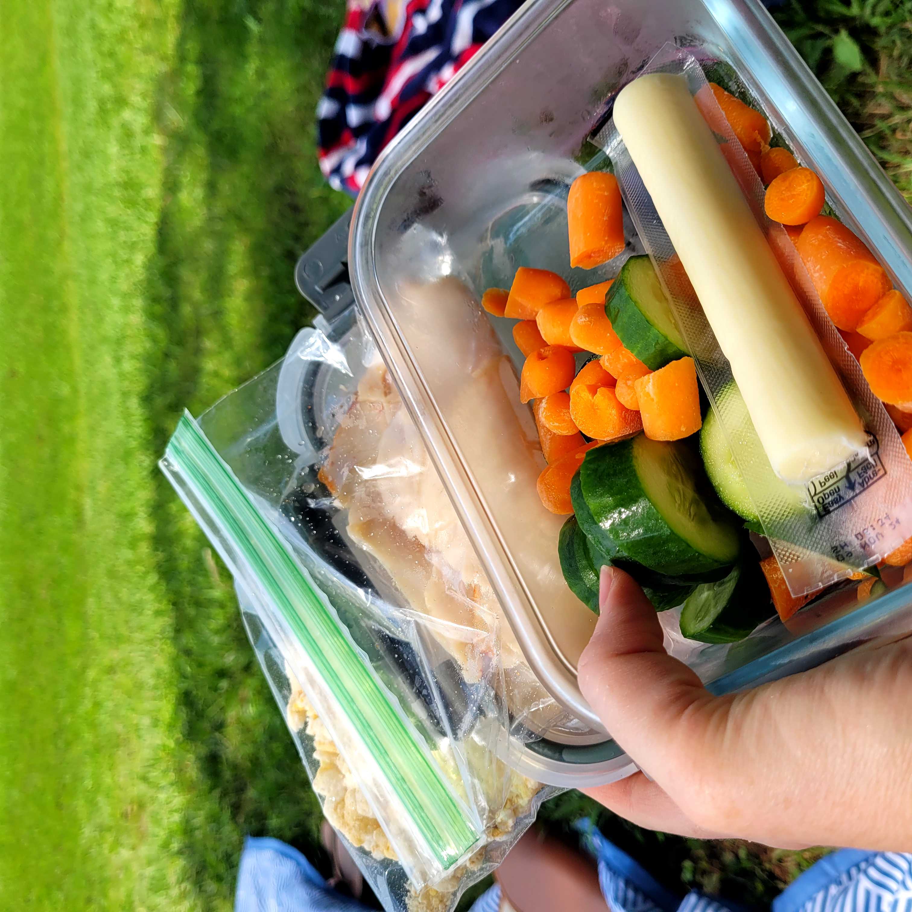 Healthy Turkey Meal Recipe