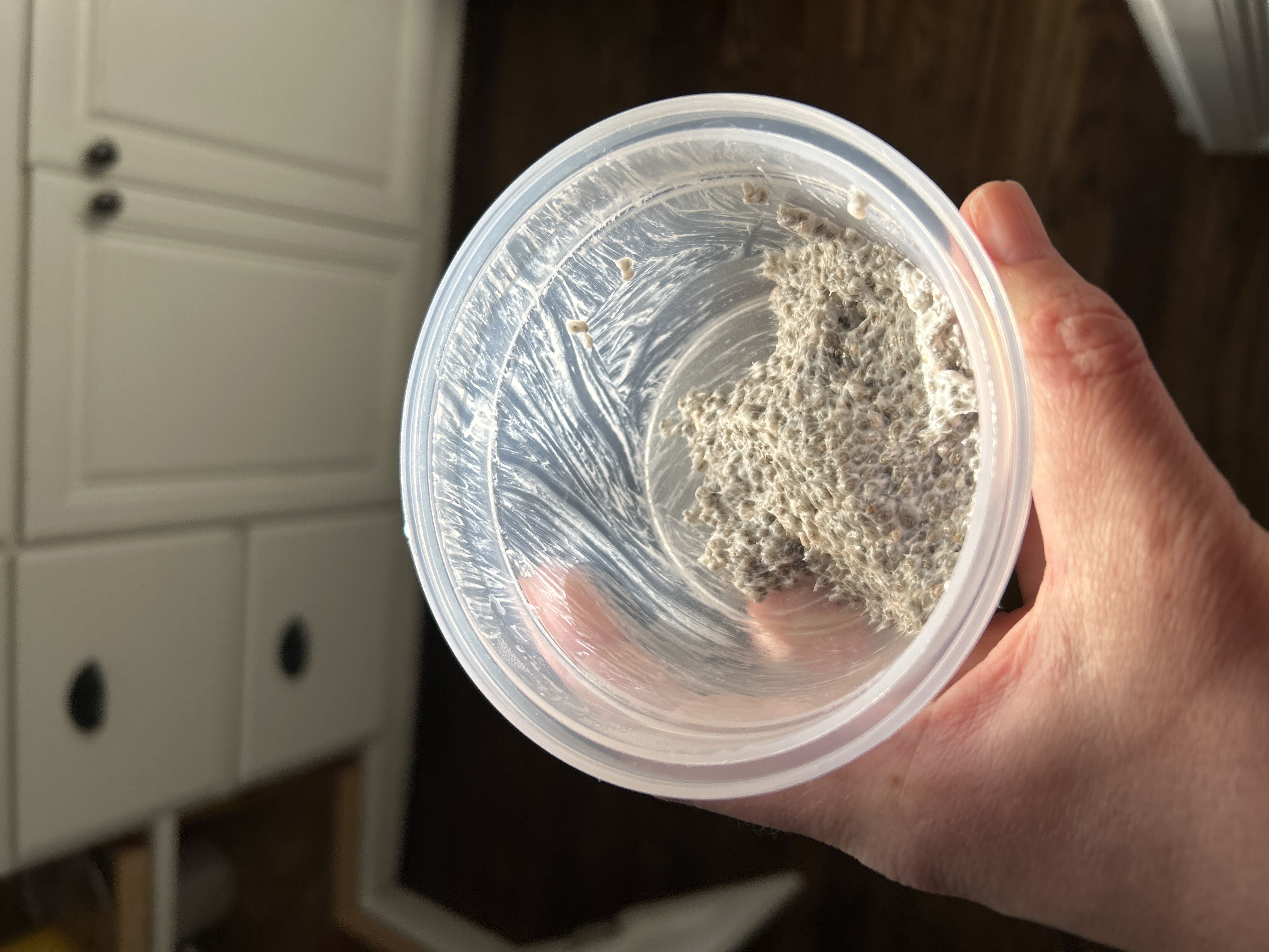Healthy Chia Pudding Recipe with Protein Powder