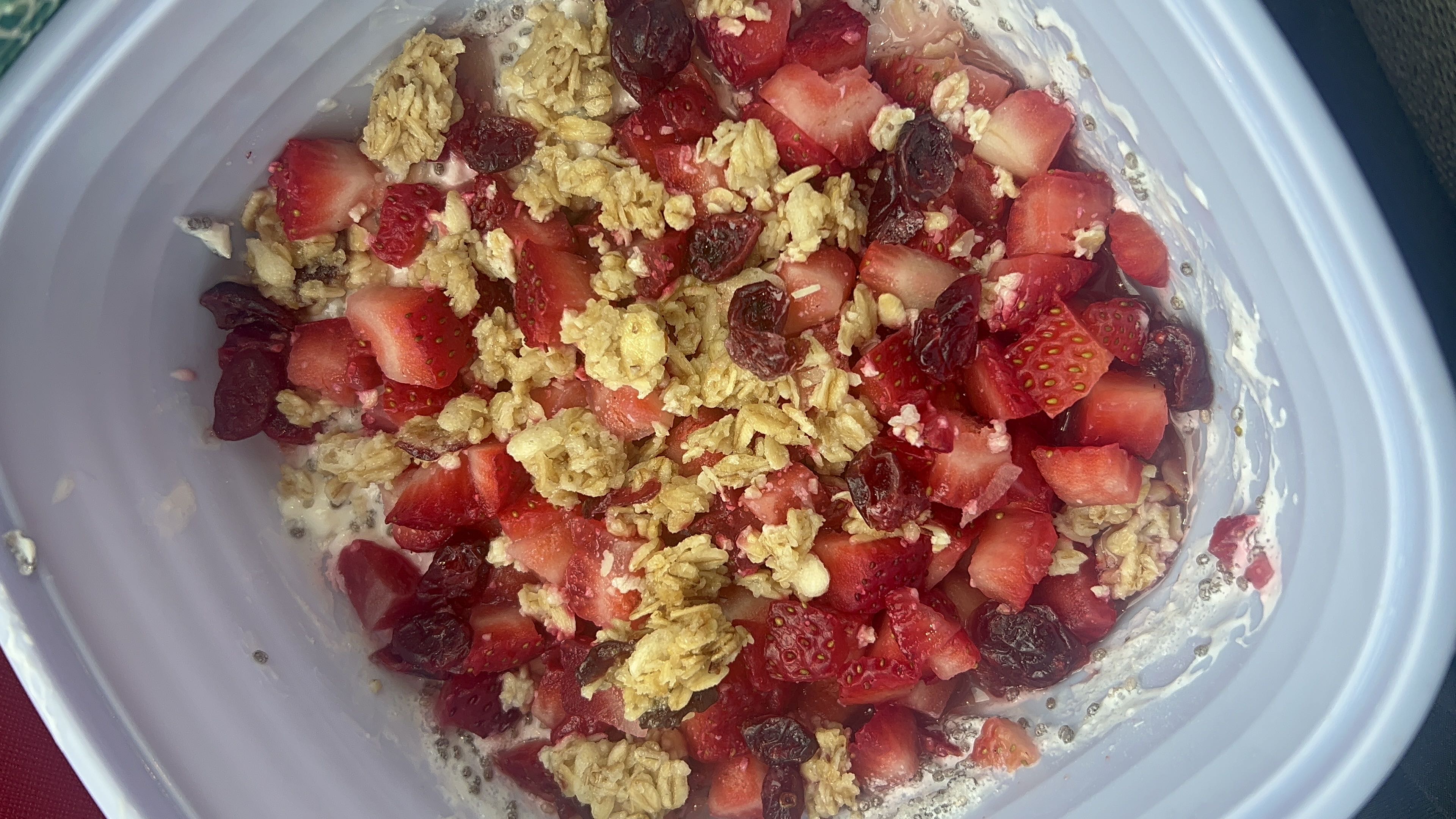 Healthy Protein Snack Delight Recipe