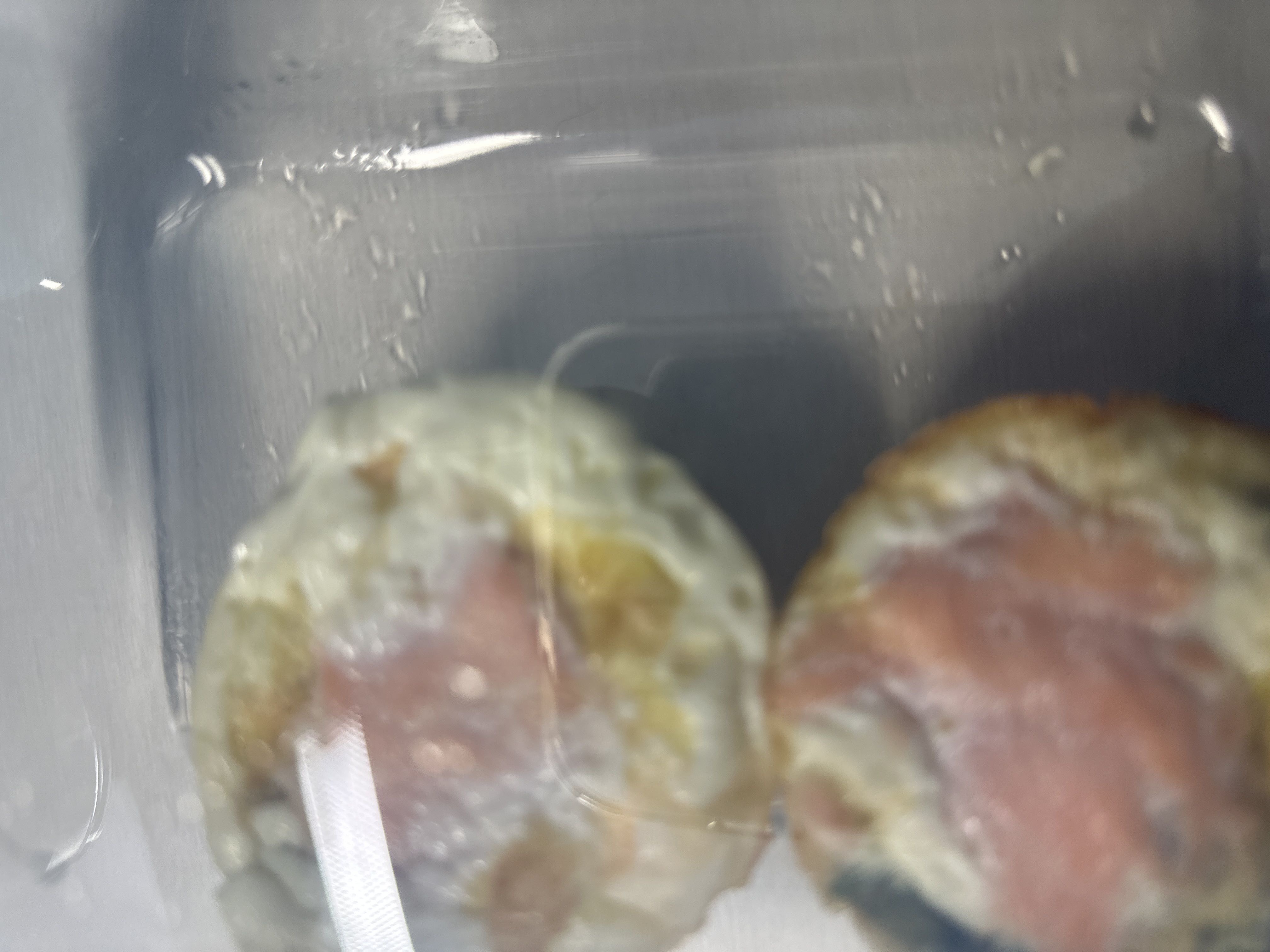 Healthy Egg Muffin Recipe