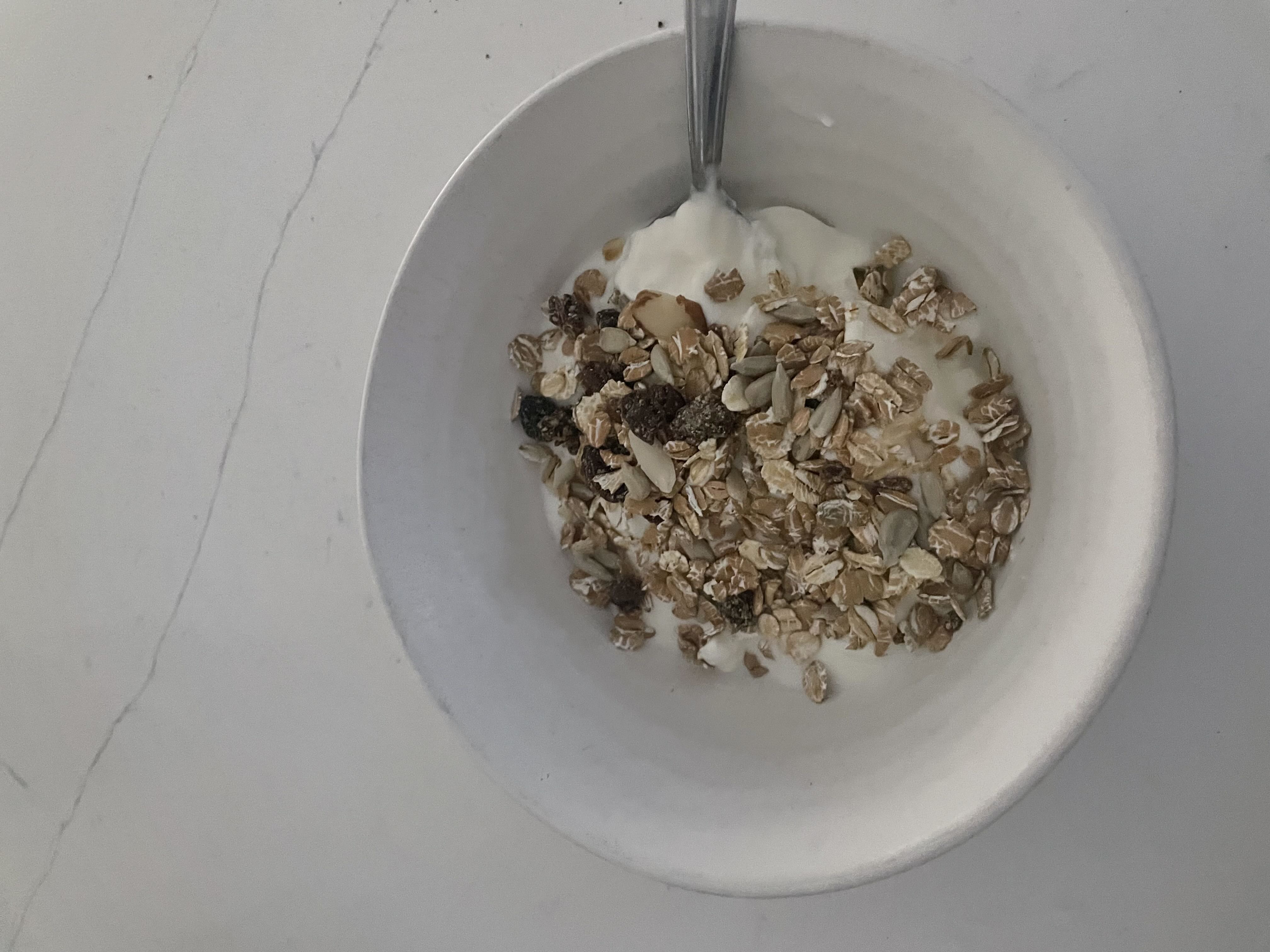 Healthy High Protein Oats Recipe