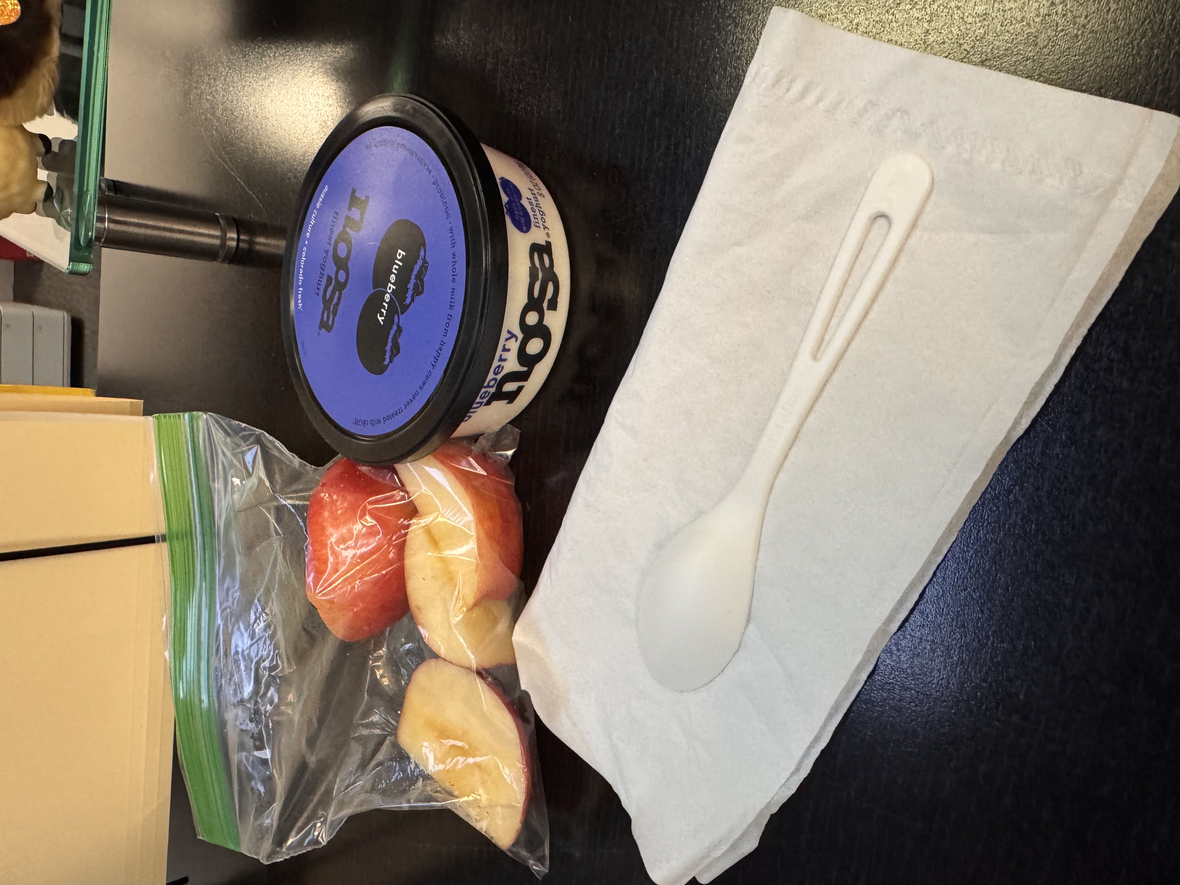 Healthy Blueberry Yogurt Recipe