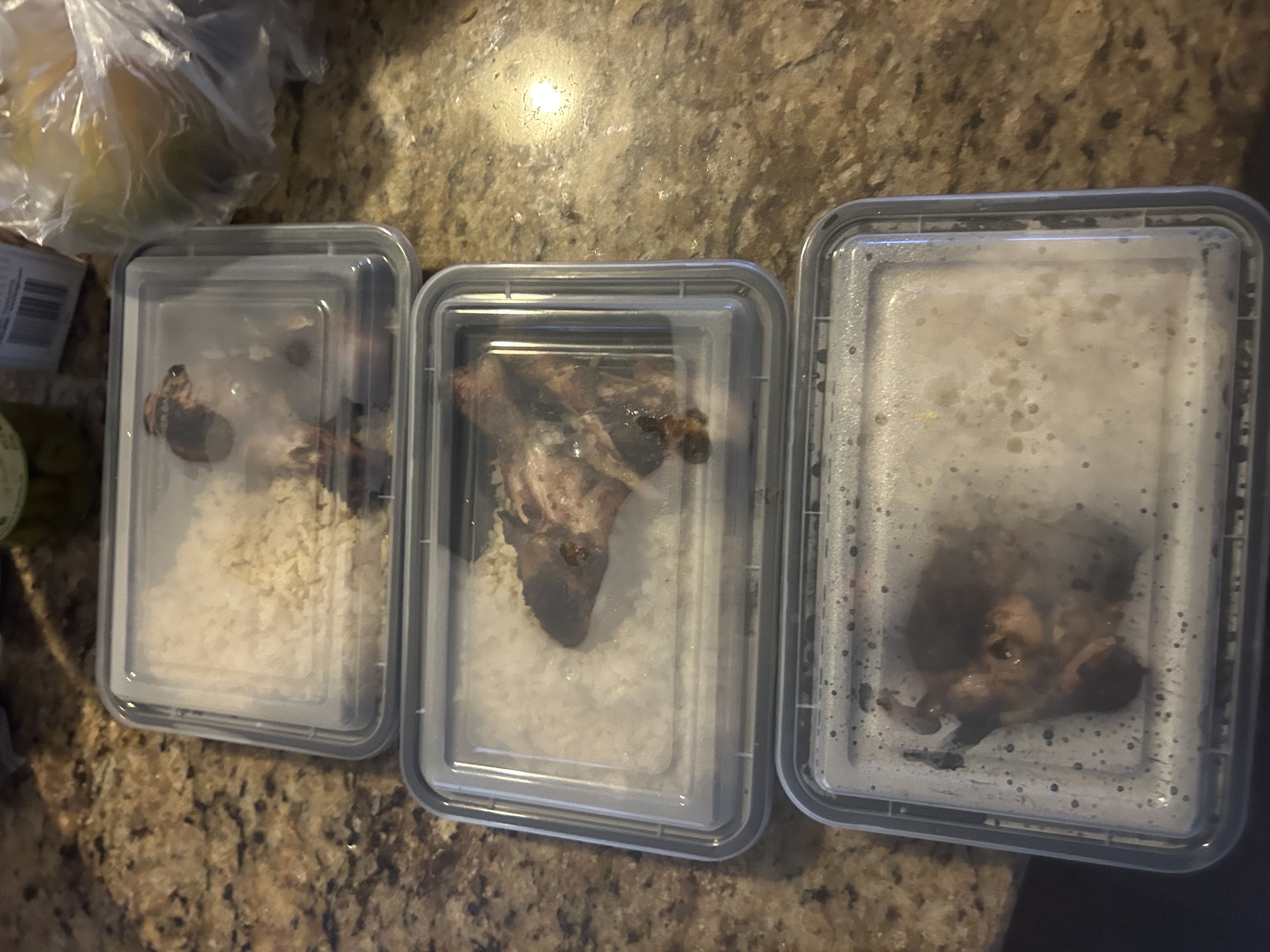 Healthy Jerk Chicken Recipe