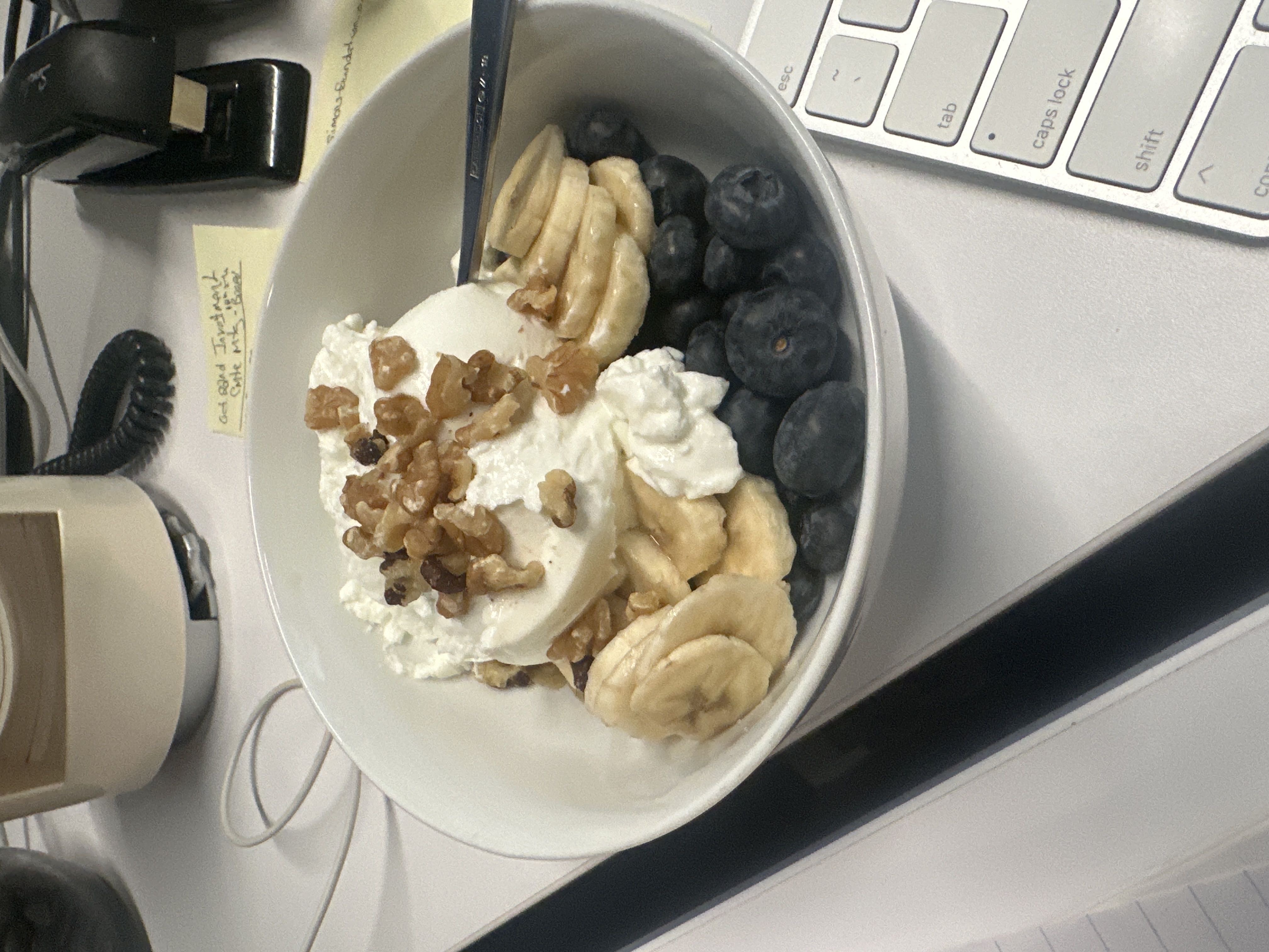 Healthy High Protein Yogurt Recipe