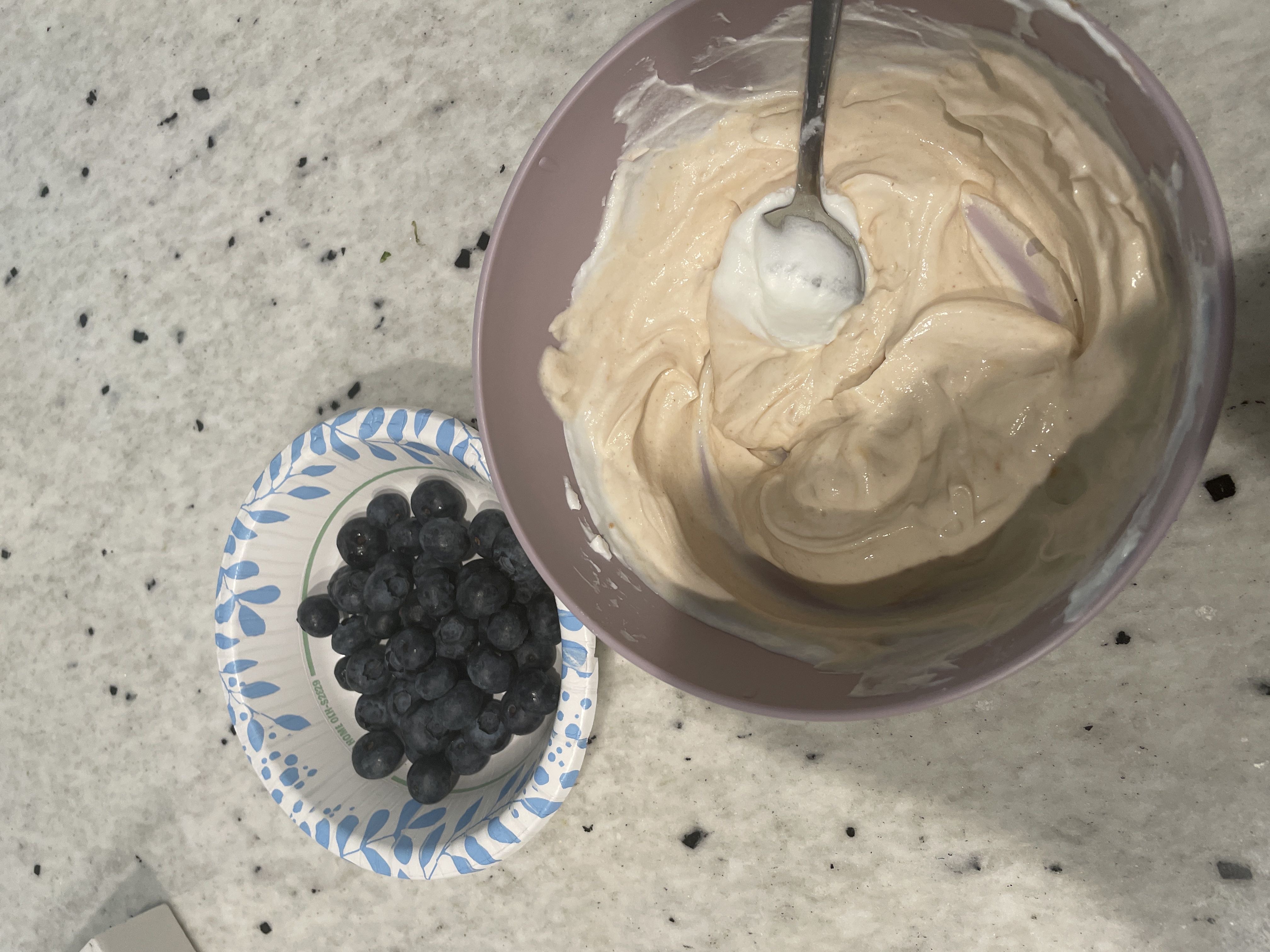 Healthy High Protein Yogurt Recipe