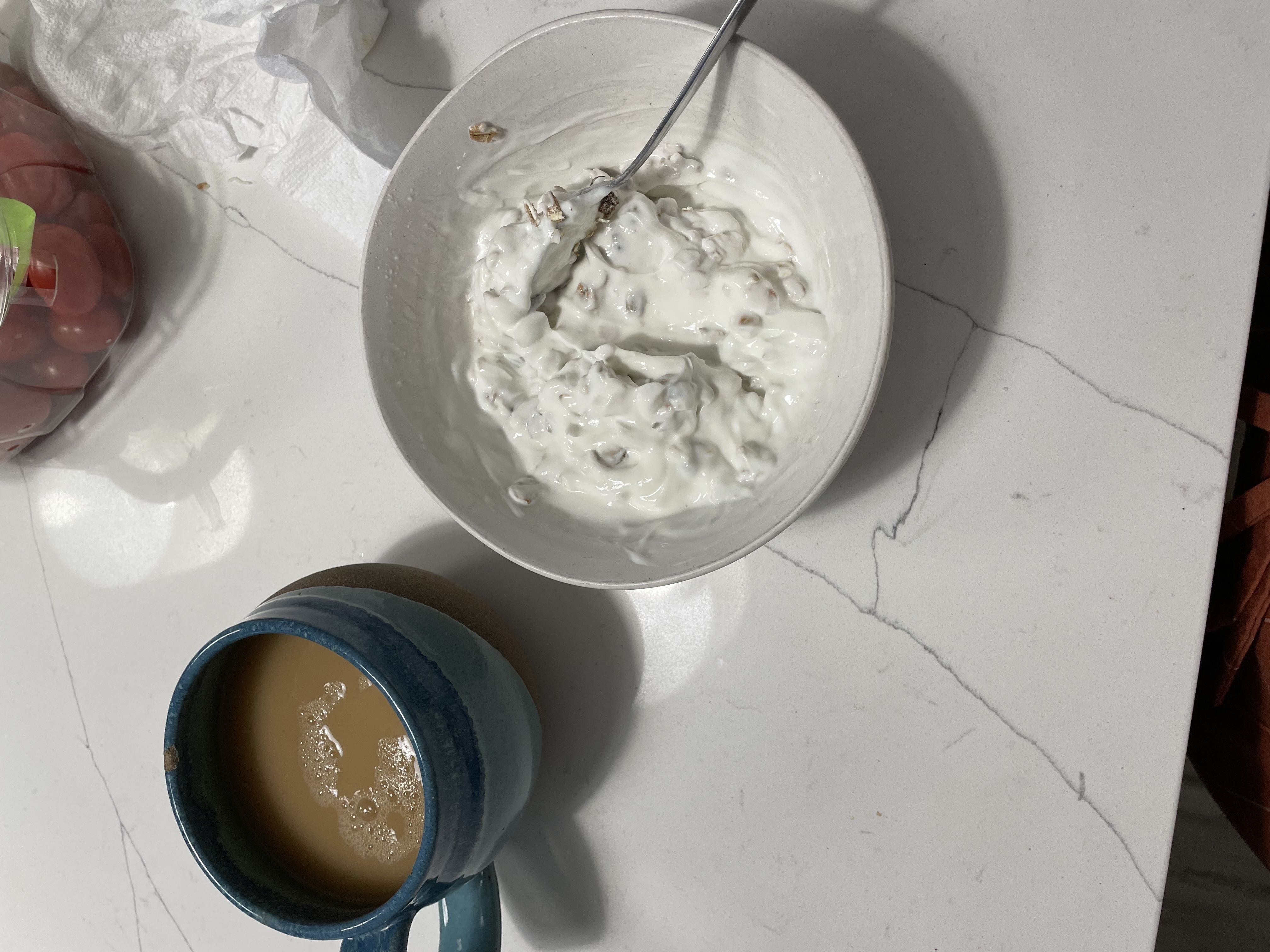 Healthy High Protein Yogurt Recipe