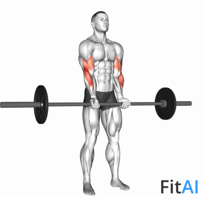 Barbell Standing Close-Grip Curl