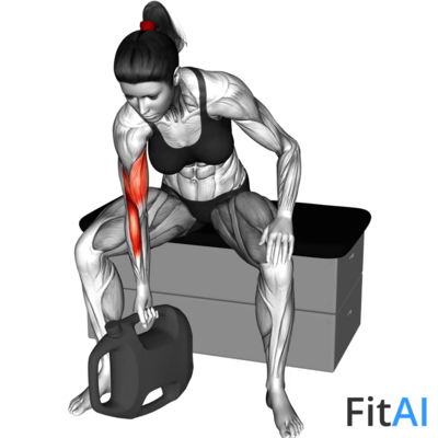 Bottle Weighted Concentration Curl