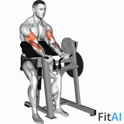 Lever Preacher Curl (Plate)