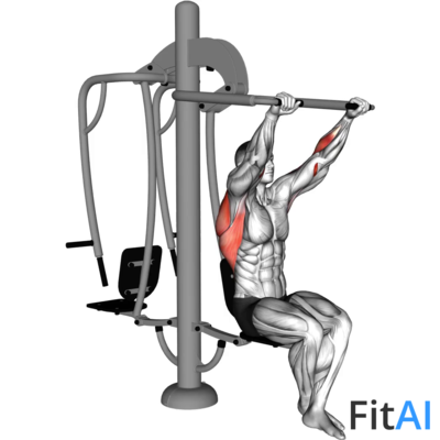 Lever Outdoor Seated Lat Pulldown