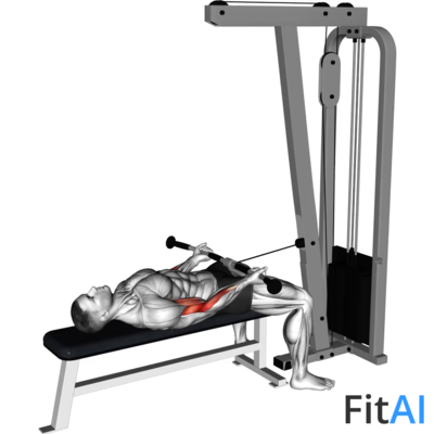 Cable Lying Biceps Curl