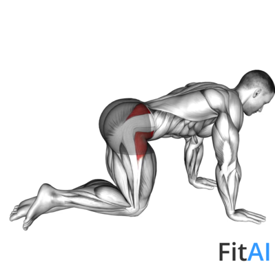 Bent Leg Side Kick (kneeling)