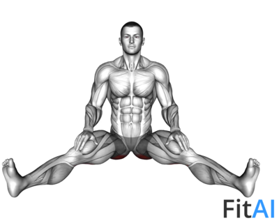 Seated Wide Angle Pose Sequence