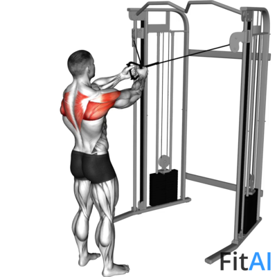 Cable Standing Crossover High Reverse Fly
