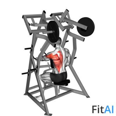 Lever One Arm Low Row (Plate)