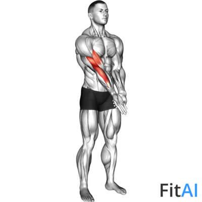 Elbow Extension And Supination Pronation Forearm Stretch