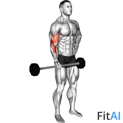 Barbell Alternate Biceps Curl