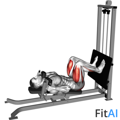 Sled Lying Squat