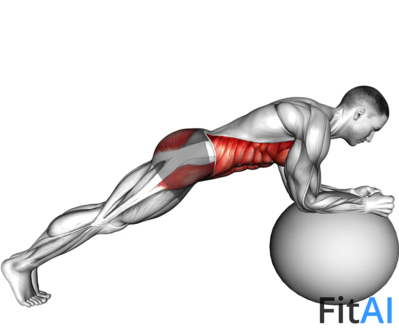 Stability Ball Front Plank