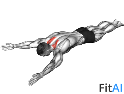 Bodyweight Lying Prone Ys