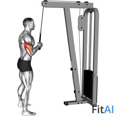 Cable Standing One Arm Tricep Pushdown (Overhand-Grip)