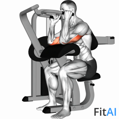 Lever Triceps Extension (V2)