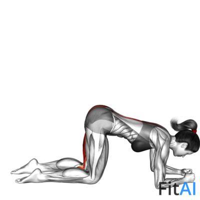 Basic to Cross Donkey Kick