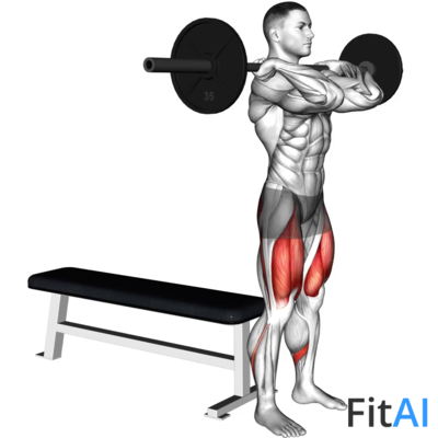 Barbell Front Bench Squat