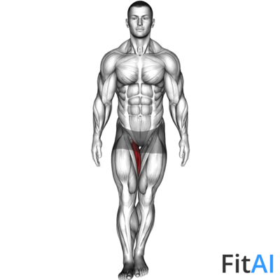 Standing Hip Adduction (V2)
