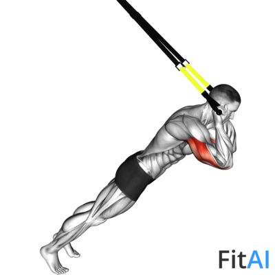 Suspender Triceps Extension