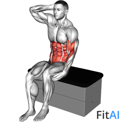 Sitting Side Crunch on a padded stool