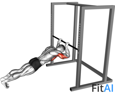 Triceps Press