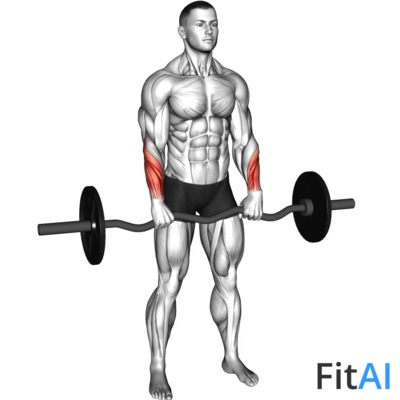 EZ-Barbell Standing Wrist Reverse Curl