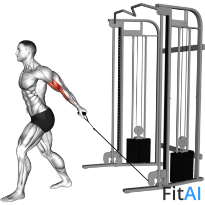 Cable One Arm Biceps Curl (V2)