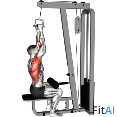 Cable Lateral Pulldown (V-bar)