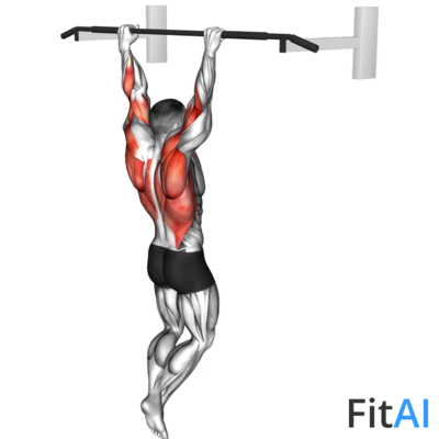 Rocky Pull-up Pulldown