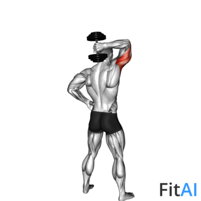 Dumbbell Standing One Arm Extension
