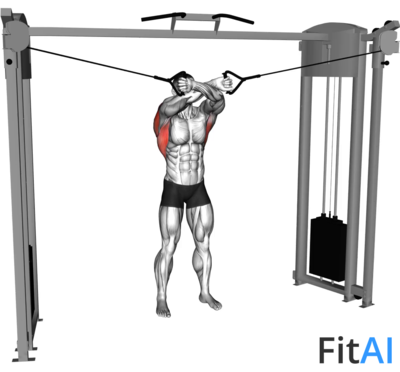 Cable Lat Pulldown Full Range Of Motion