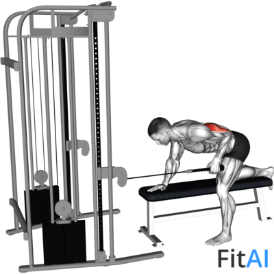 Cable Bent-Over One Arm Neutral-Grip Kickback (Rope)